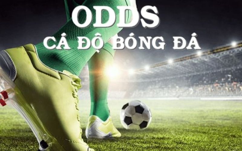 Tổng hợp các loại tỷ lệ Odds phổ biến